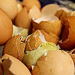 5 Möglichkeiten Eierschalen zu verwenden